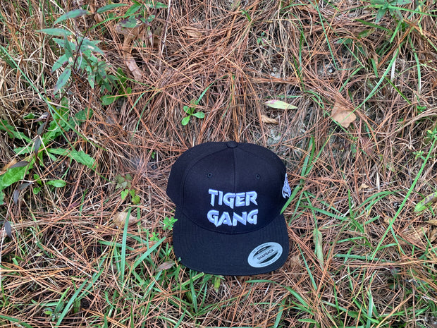 The 3D Embroidery SnapBack hat black