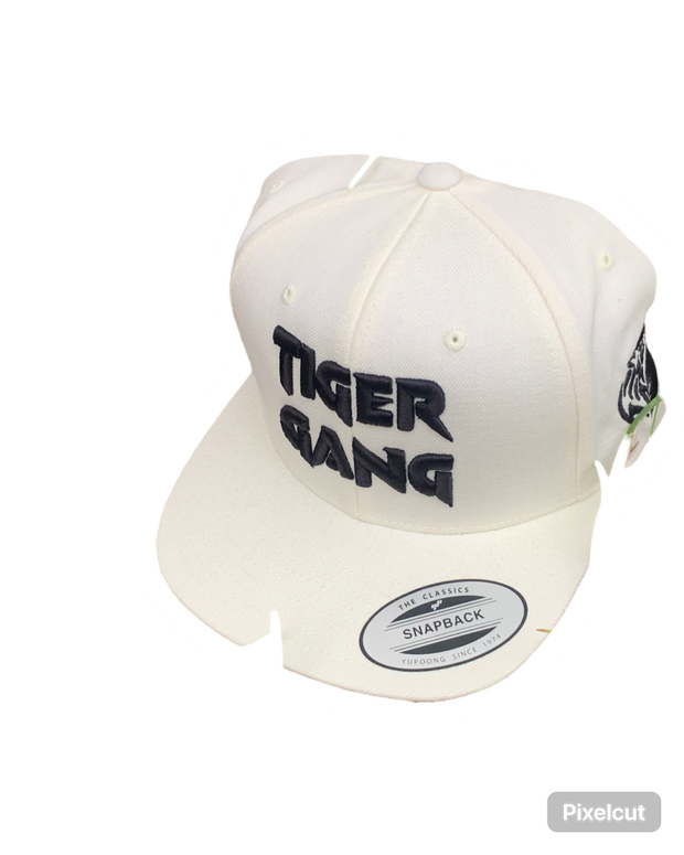The 3D Embroidery SnapBack hat cream