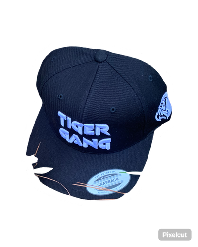 The 3D Embroidery SnapBack hat black